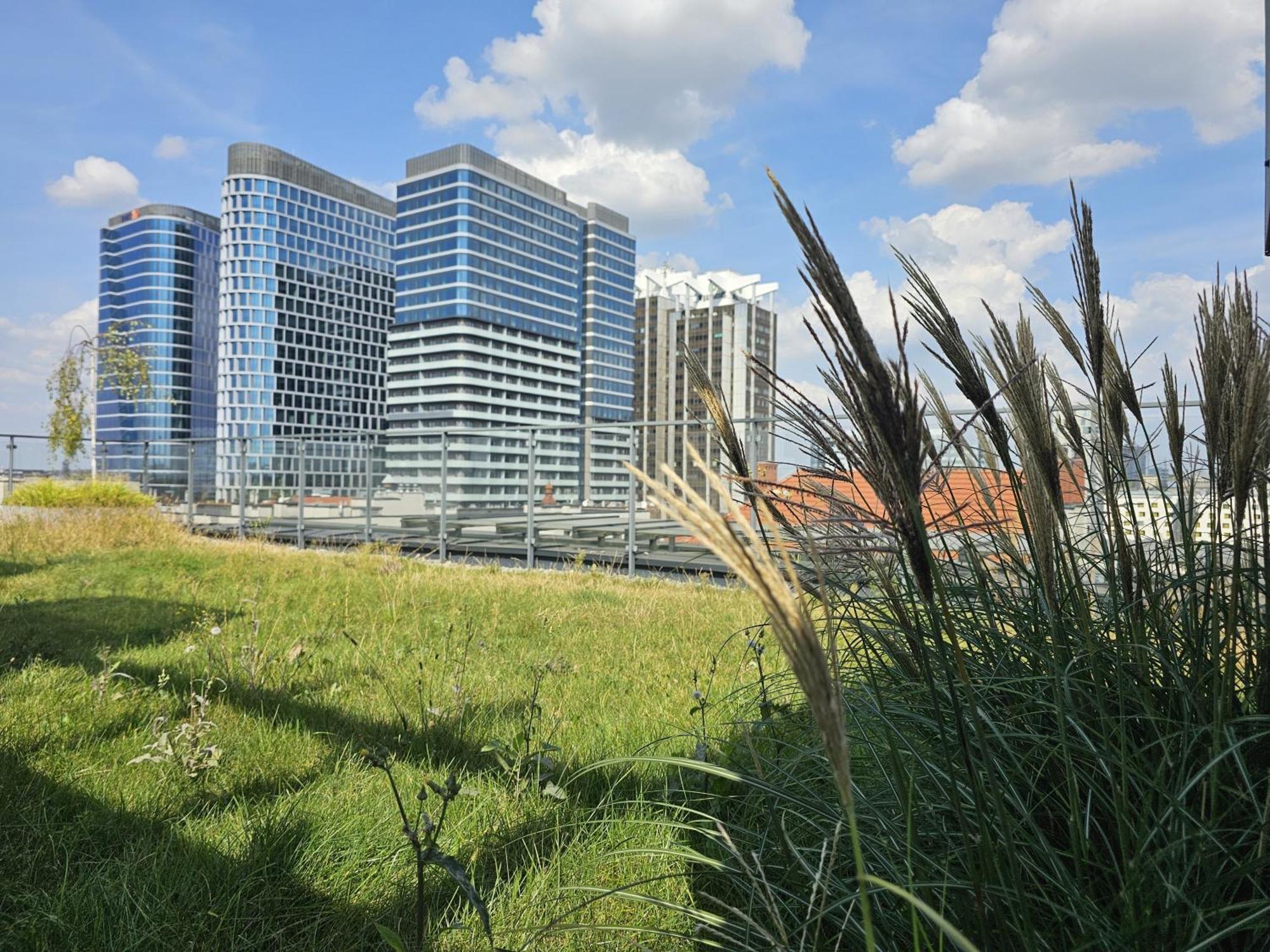 Urban Apartments Premium, Opolska 10 No 77A, Free Garage, Self Check-In 卡托维兹 外观 照片